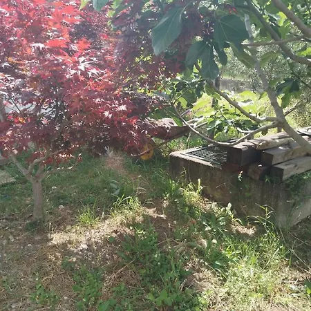 Gospodarstwo wiejskie Casa Mobile Vicino Paestum In Campagna Capaccio